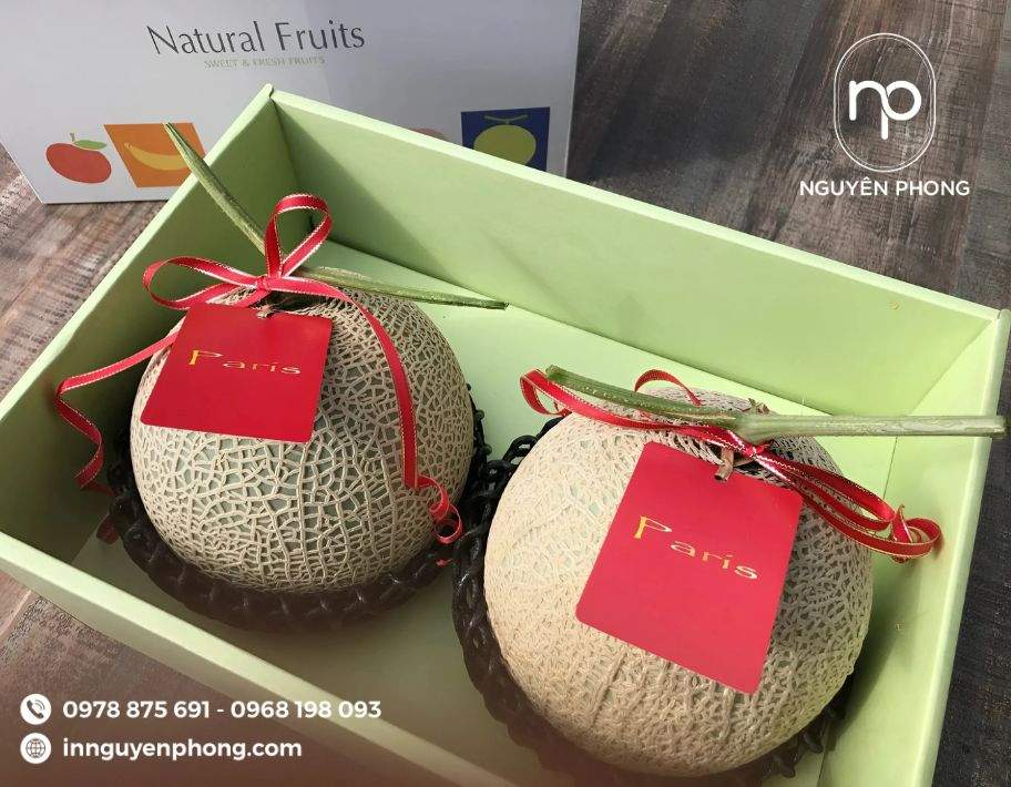 mau-hop-giay-dung-dua-luoi-chat-luong